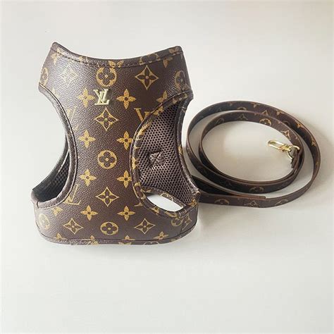 lv dog harness leash|authentic Louis Vuitton pet carrier.